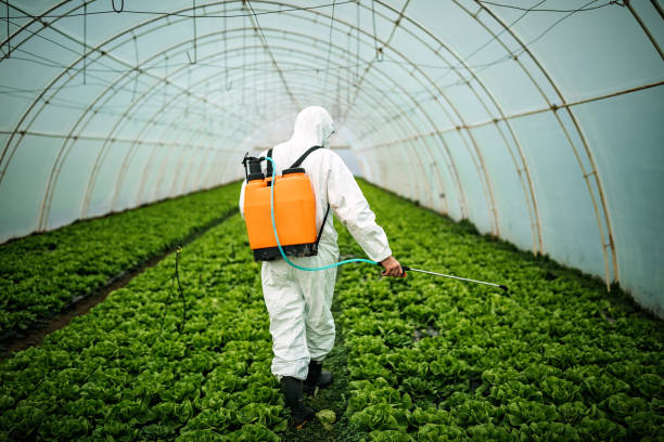 Best Local Pest Control Services  in Kennedy, CA