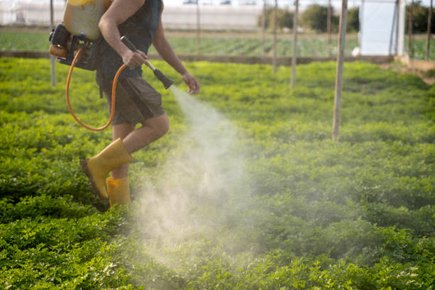 Best Residential Pest Control  in Kennedy, CA