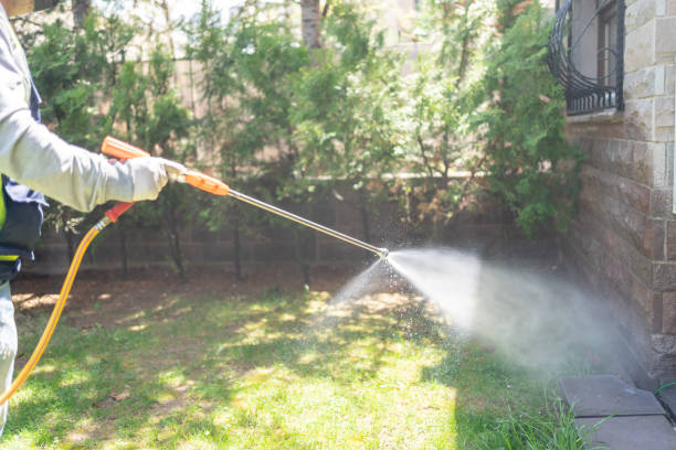 Best Best Pest Control Companies  in Kennedy, CA