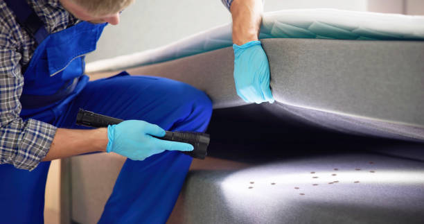 Best Affordable Pest Control Services  in Kennedy, CA