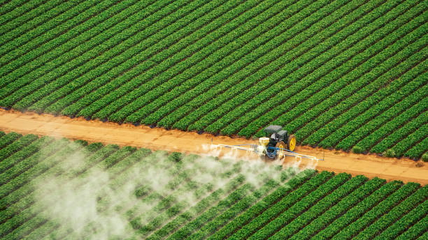 Best Mosquito Control Services  in Kennedy, CA