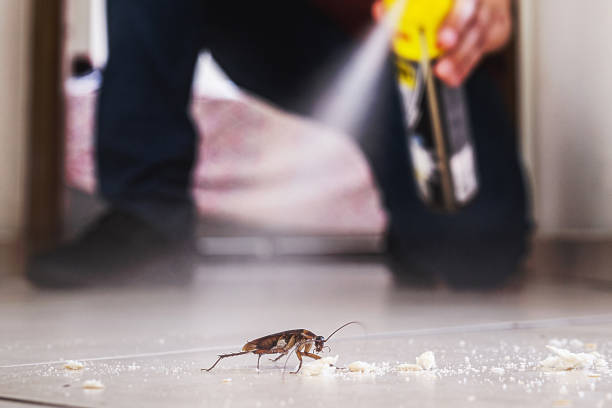 Best Commercial Pest Control Services  in Kennedy, CA