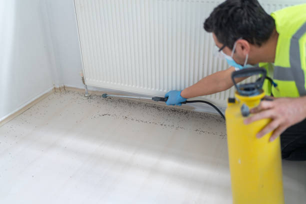 Best Pest Inspection Near Me  in Kennedy, CA