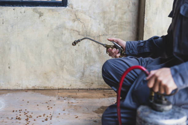 Best Exterminator Services  in Kennedy, CA